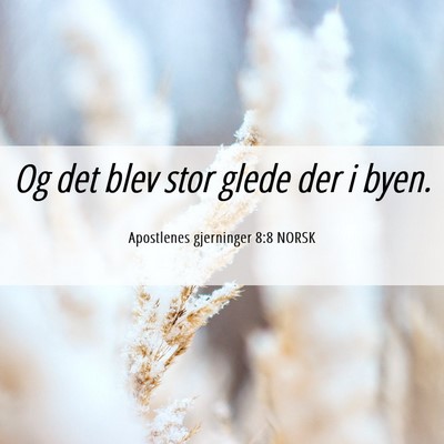 Picture 06 - Apostlenes gjerninger 8:8 NORSK - Og det blev stor glede der i - Bible Verse Picture