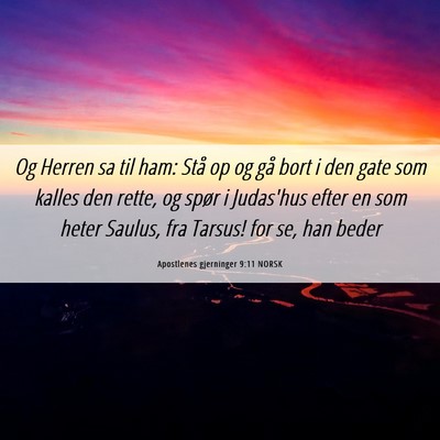 Picture 06 - Apostlenes gjerninger 9:11 NORSK - Og Herren sa til ham: Stå op og gå bort i den - Bible Verse Picture