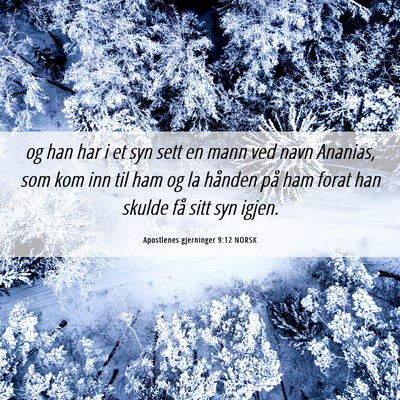 Picture 06 - Apostlenes gjerninger 9:12 NORSK - og han har i et syn sett en mann ved navn - Bible Verse Picture