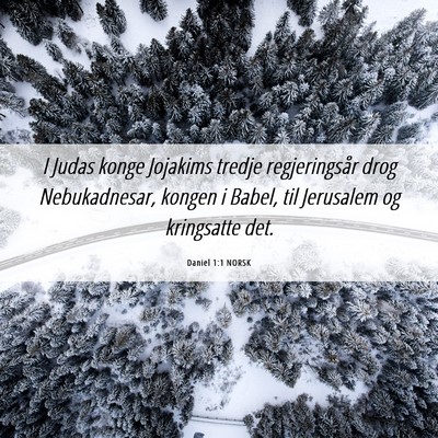 Picture 06 - Daniel 1:1 NORSK - I Judas konge Jojakims tredje regjeringsår drog - Bible Verse Picture
