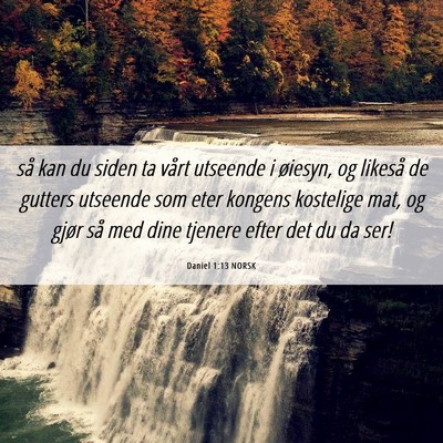 Picture 06 - Daniel 1:13 NORSK - så kan du siden ta vårt utseende i øiesyn, og - Bible Verse Picture
