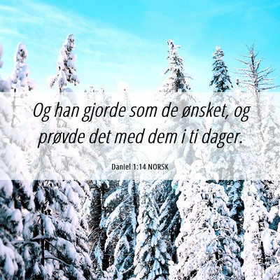 Picture 06 - Daniel 1:14 NORSK - Og han gjorde som de ønsket, og prøvde det med - Bible Verse Picture