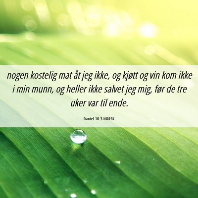 Picture 06 - Daniel 10:3 NORSK - nogen kostelig mat åt jeg ikke, og kjøtt og vin - Bible Verse Picture