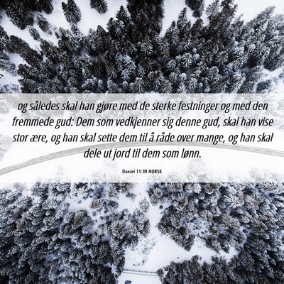 Picture 06 - Daniel 11:39 NORSK - og således skal han gjøre med de sterke - Bible Verse Picture