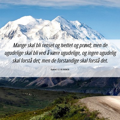 Picture 06 - Daniel 12:10 NORSK - Mange skal bli renset og tvettet og prøvd; men - Bible Verse Picture
