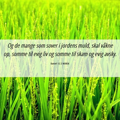 Picture 06 - Daniel 12:2 NORSK - Og de mange som sover i jordens muld, skal våkne - Bible Verse Picture
