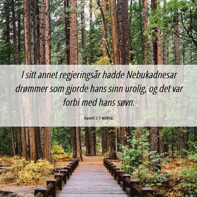 Picture 06 - Daniel 2:1 NORSK - I sitt annet regjeringsår hadde Nebukadnesar - Bible Verse Picture