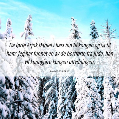 Picture 06 - Daniel 2:25 NORSK - Da førte Arjok Daniel i hast inn til kongen og - Bible Verse Picture