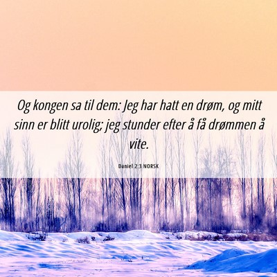 Picture 06 - Daniel 2:3 NORSK - Og kongen sa til dem: Jeg har hatt en drøm, og - Bible Verse Picture