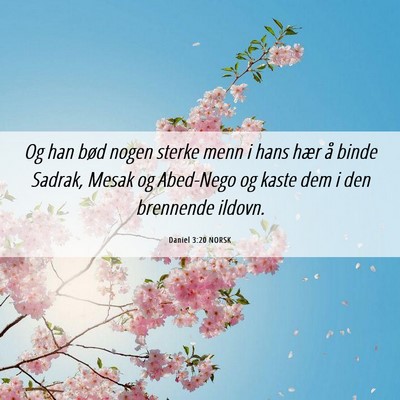 Picture 06 - Daniel 3:20 NORSK - Og han bød nogen sterke menn i hans hær å - Bible Verse Picture
