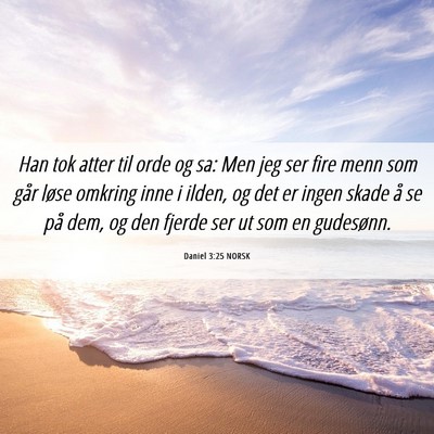 Picture 06 - Daniel 3:25 NORSK - Han tok atter til orde og sa: Men jeg ser fire - Bible Verse Picture
