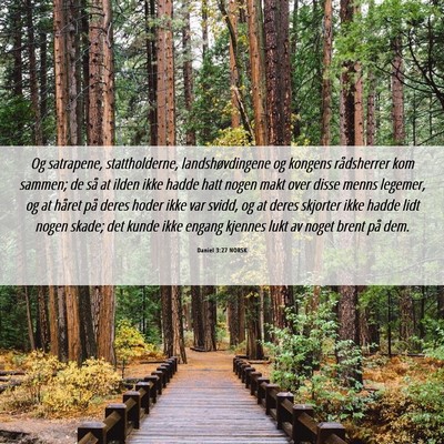 Picture 06 - Daniel 3:27 NORSK - Og satrapene, stattholderne, landshøvdingene og - Bible Verse Picture