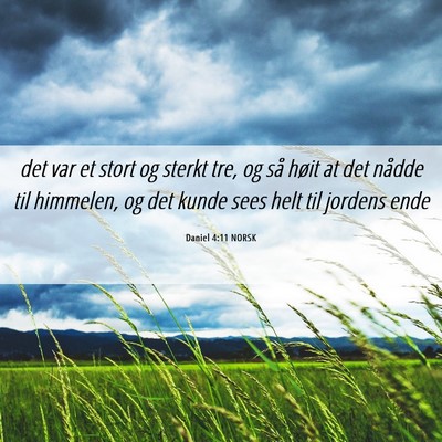 Picture 06 - Daniel 4:11 NORSK - det var et stort og sterkt tre, og så høit at - Bible Verse Picture