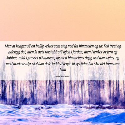Picture 06 - Daniel 4:23 NORSK - Men at kongen så en hellig vekter som steg ned - Bible Verse Picture