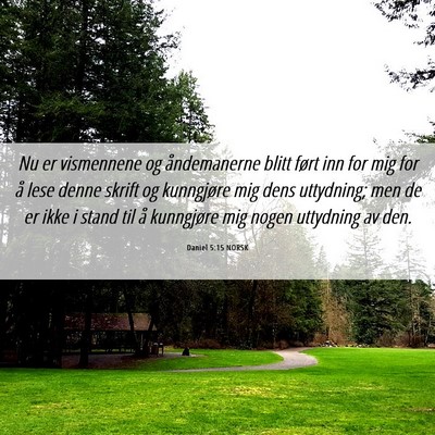 Picture 06 - Daniel 5:15 NORSK - Nu er vismennene og åndemanerne blitt ført inn - Bible Verse Picture