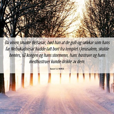 Picture 06 - Daniel 5:2 NORSK - Da vinen smakte Belsasar, bød han at de gull-og - Bible Verse Picture