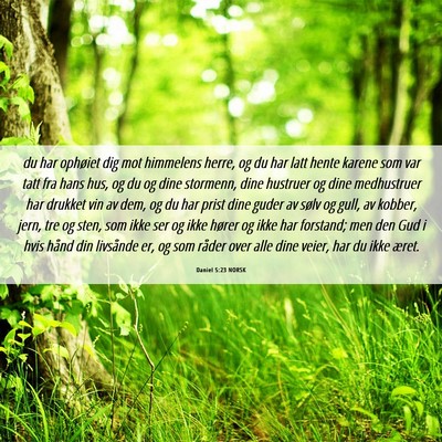 Picture 06 - Daniel 5:23 NORSK - du har ophøiet dig mot himmelens herre, og du - Bible Verse Picture