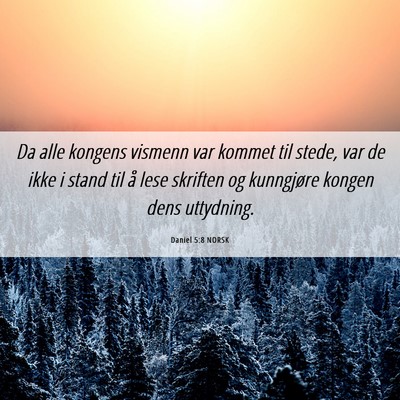 Picture 06 - Daniel 5:8 NORSK - Da alle kongens vismenn var kommet til stede, var - Bible Verse Picture
