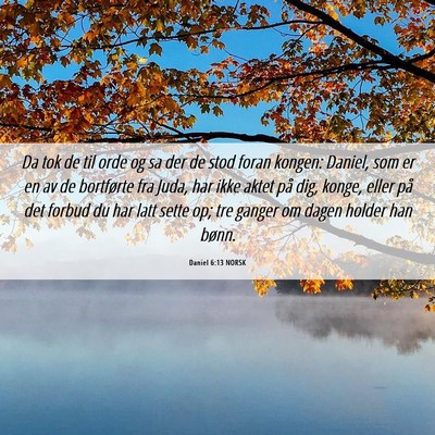 Picture 06 - Daniel 6:13 NORSK - Da tok de til orde og sa der de stod foran - Bible Verse Picture