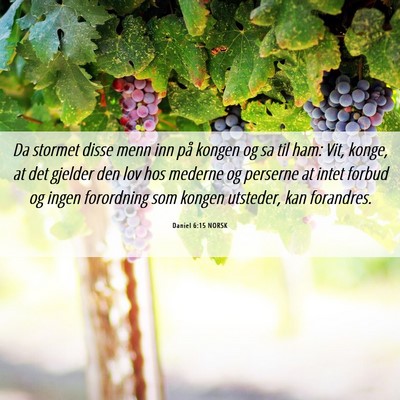 Picture 06 - Daniel 6:15 NORSK - Da stormet disse menn inn på kongen og sa til - Bible Verse Picture