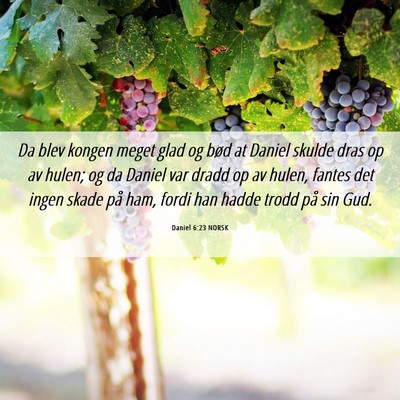 Picture 06 - Daniel 6:23 NORSK - Da blev kongen meget glad og bød at Daniel - Bible Verse Picture
