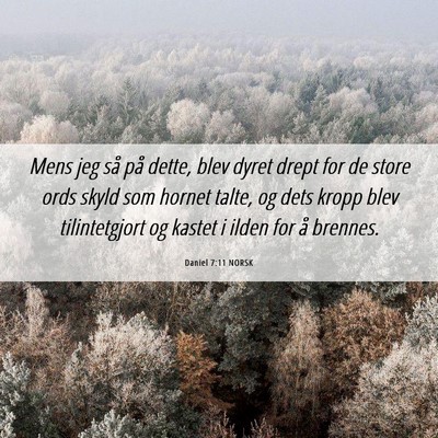 Picture 06 - Daniel 7:11 NORSK - Mens jeg så på dette, blev dyret drept for de - Bible Verse Picture