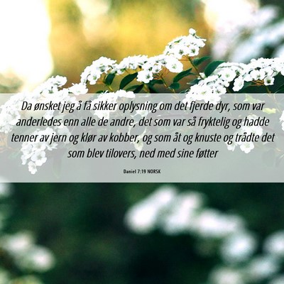 Picture 06 - Daniel 7:19 NORSK - Da ønsket jeg å få sikker oplysning om det - Bible Verse Picture