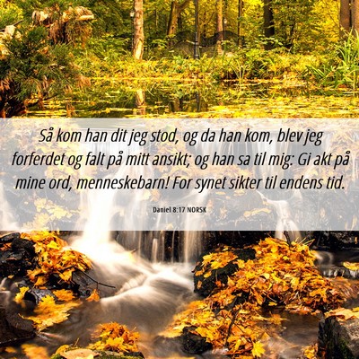 Picture 06 - Daniel 8:17 NORSK - Så kom han dit jeg stod, og da han kom, blev jeg - Bible Verse Picture