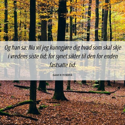 Picture 06 - Daniel 8:19 NORSK - Og han sa: Nu vil jeg kunngjøre dig hvad som - Bible Verse Picture