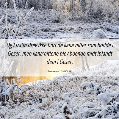Picture 06 - Dommerne 1:29 NORSK - Og Efra'm drev ikke bort de kana'nitter som bodde - Bible Verse Picture