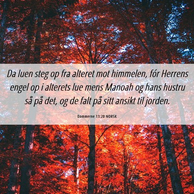 Picture 06 - Dommerne 13:20 NORSK - Da luen steg op fra alteret mot himmelen, fór - Bible Verse Picture
