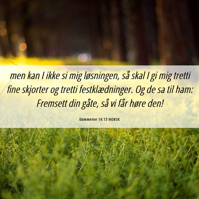 Picture 06 - Dommerne 14:13 NORSK - men kan I ikke si mig løsningen, så skal I gi - Bible Verse Picture