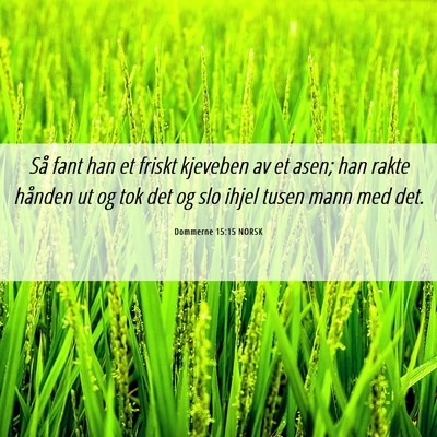 Picture 06 - Dommerne 15:15 NORSK - Så fant han et friskt kjeveben av et asen; han - Bible Verse Picture