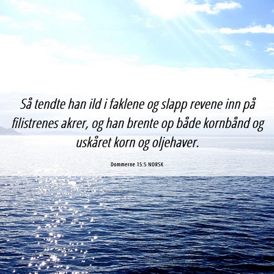 Picture 06 - Dommerne 15:5 NORSK - Så tendte han ild i faklene og slapp revene inn - Bible Verse Picture