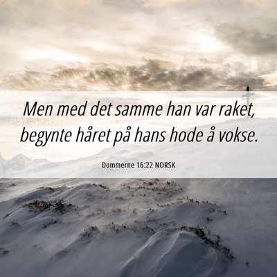 Picture 06 - Dommerne 16:22 NORSK - Men med det samme han var raket, begynte håret - Bible Verse Picture