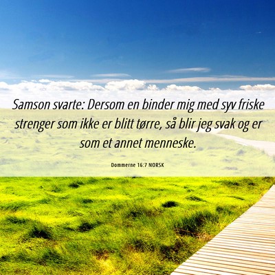 Picture 06 - Dommerne 16:7 NORSK - Samson svarte: Dersom en binder mig med syv - Bible Verse Picture