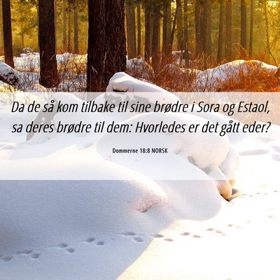 Picture 06 - Dommerne 18:8 NORSK - Da de så kom tilbake til sine brødre i Sora og - Bible Verse Picture