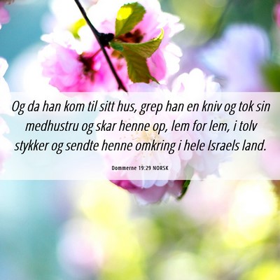 Picture 06 - Dommerne 19:29 NORSK - Og da han kom til sitt hus, grep han en kniv og - Bible Verse Picture