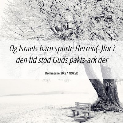 Picture 06 - Dommerne 20:27 NORSK - Og Israels barn spurte Herren(-)for i den tid - Bible Verse Picture