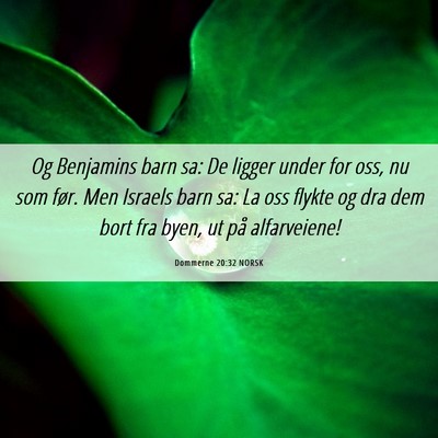 Picture 06 - Dommerne 20:32 NORSK - Og Benjamins barn sa: De ligger under for oss, nu - Bible Verse Picture