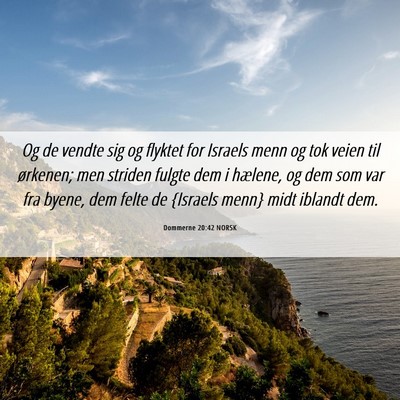 Picture 06 - Dommerne 20:42 NORSK - Og de vendte sig og flyktet for Israels menn og - Bible Verse Picture