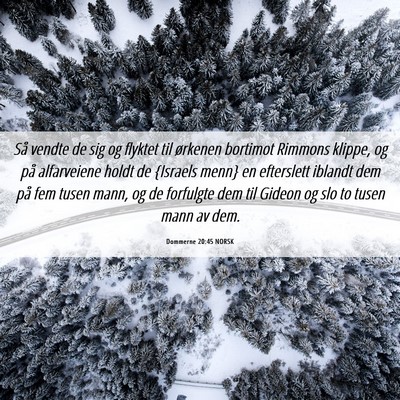 Picture 06 - Dommerne 20:45 NORSK - Så vendte de sig og flyktet til ørkenen - Bible Verse Picture