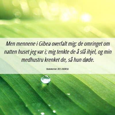 Picture 06 - Dommerne 20:5 NORSK - Men mennene i Gibea overfalt mig; de omringet om - Bible Verse Picture