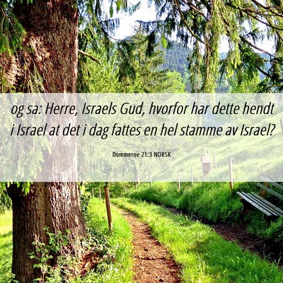 Picture 06 - Dommerne 21:3 NORSK - og sa: Herre, Israels Gud, hvorfor har dette - Bible Verse Picture