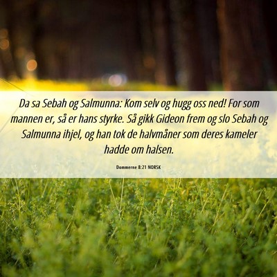 Picture 06 - Dommerne 8:21 NORSK - Da sa Sebah og Salmunna: Kom selv og hugg oss - Bible Verse Picture