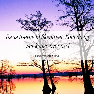 Picture 06 - Dommerne 9:10 NORSK - Da sa trærne til fikentreet: Kom du og vær - Bible Verse Picture