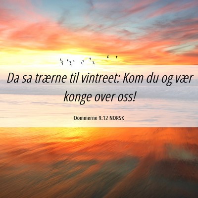 Picture 06 - Dommerne 9:12 NORSK - Da sa trærne til vintreet: Kom du og vær konge - Bible Verse Picture