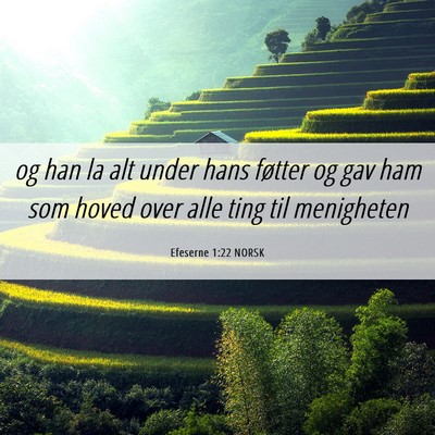 Picture 06 - Efeserne 1:22 NORSK - og han la alt under hans føtter og gav ham som - Bible Verse Picture