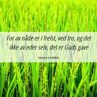Picture 06 - Efeserne 2:8 NORSK - For av nåde er I frelst, ved tro, og det ikke av - Bible Verse Picture