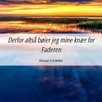 Picture 06 - Efeserne 3:14 NORSK - Derfor altså bøier jeg mine knær for - Bible Verse Picture